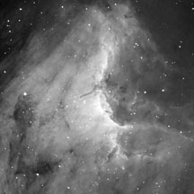 IC 5070, the Pelican Nebula