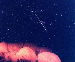 Perseid near Orion's Sword
