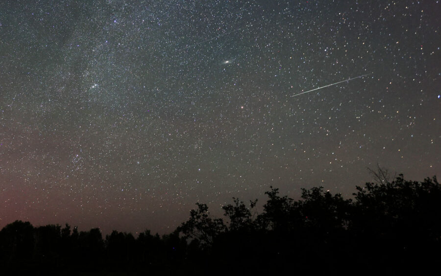 Early Perseid