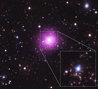 Phoenix galaxy cluster