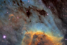 Pillars and Jets in the Pelican Nebula  
