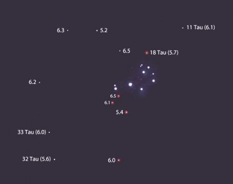 Time to track down the star cluster's dimmer denizens.