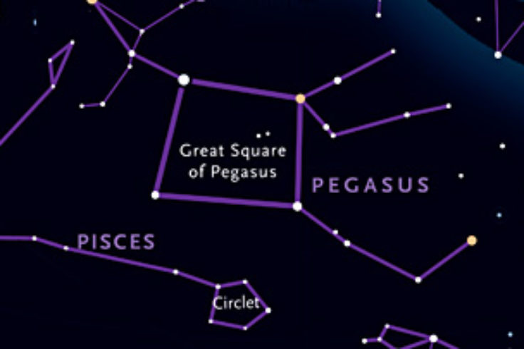 Where to find Pegasus