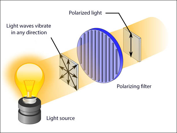 vertically polarized light with an average intensity