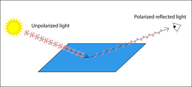 polarisation of light