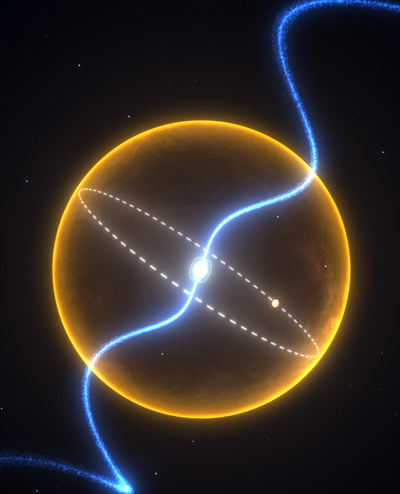 Diamond Planet orbiting Pulsar