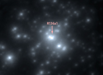 Supermassive stars in cluster R136