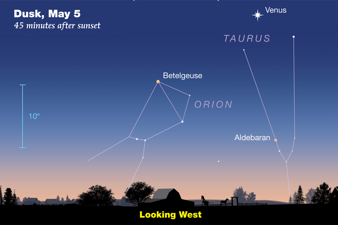 Venus Orion Taurus in early May 2023