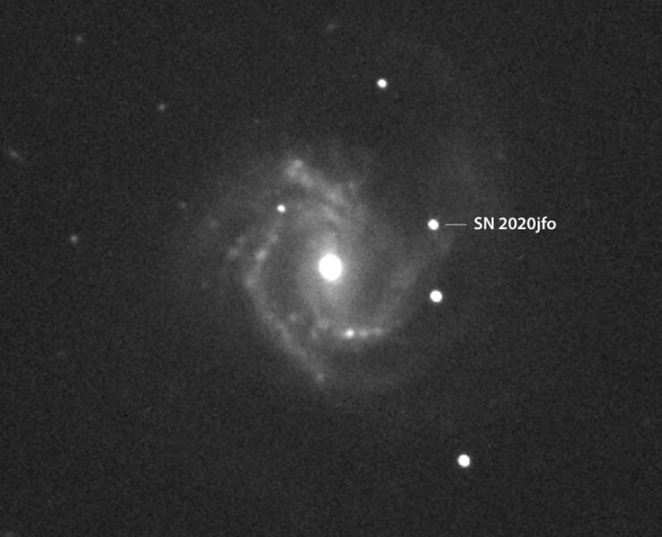 Supernova 2020jfo