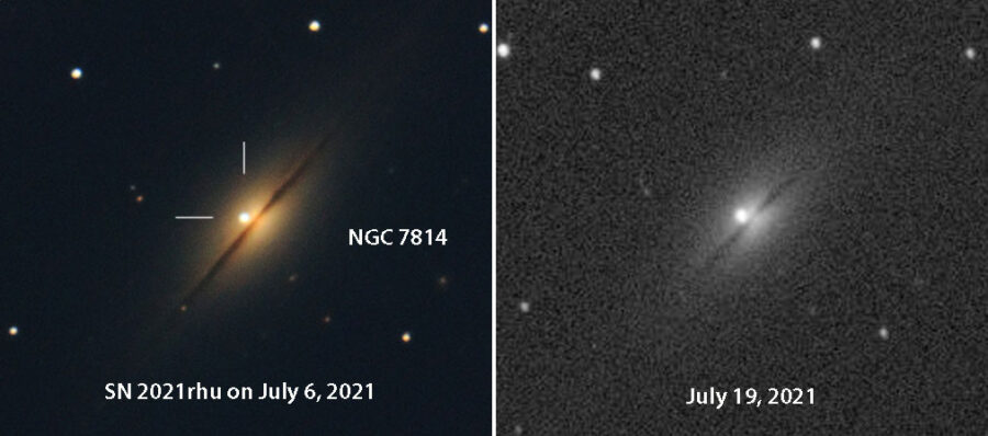 SN 2021rhu