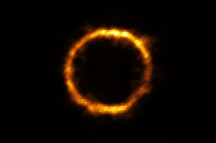 Early Milky Way look-alike