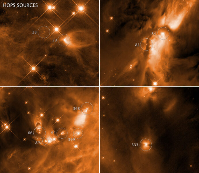 Infant stars in Orion