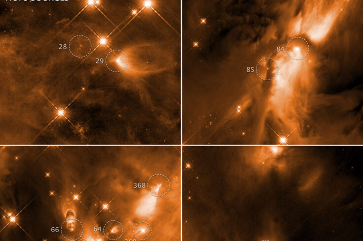 Infant stars in Orion