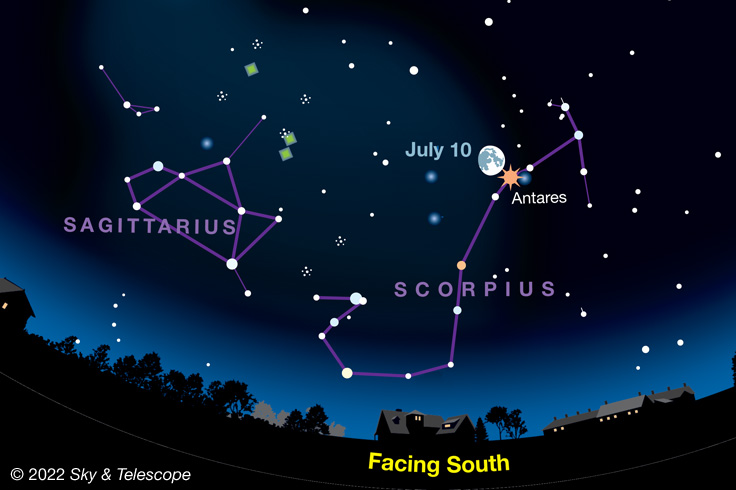 Sagittarius-Scorpius on July evenings