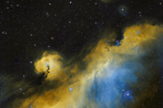 Seagull Nebula  