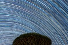 Trails of  Socotra  
