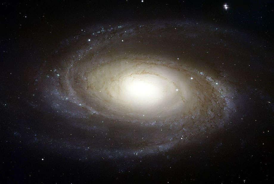 M81