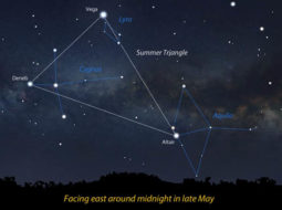 Illustration of Summer Triangle