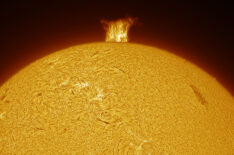 Massive Prominence, Small Sunspot  