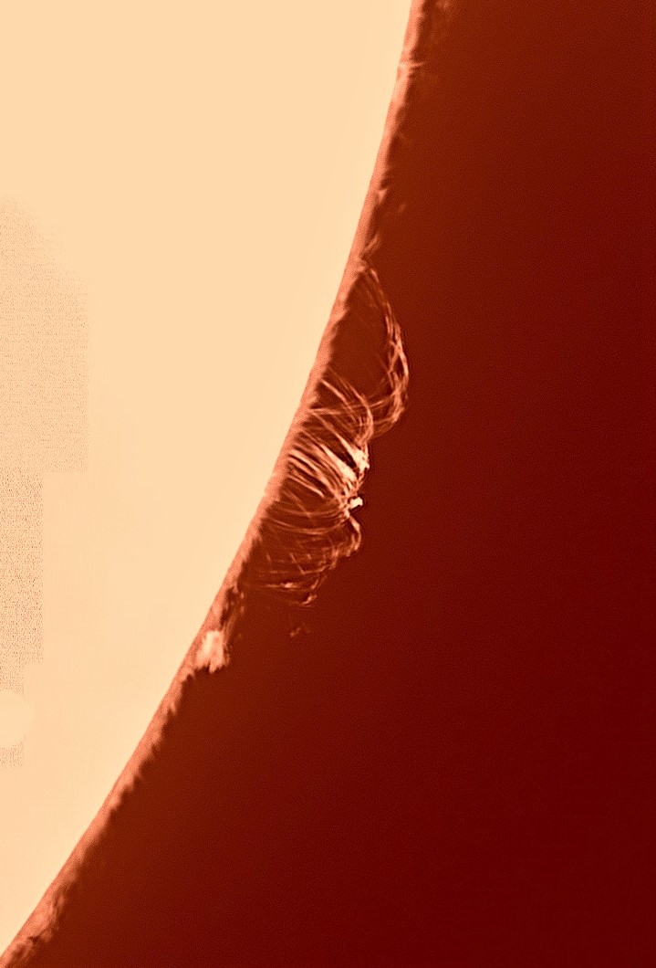 Solar Prominence Sky & Telescope Sky & Telescope