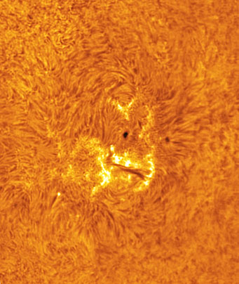 Sunspot group 960 seen in H-alpha light, June 10