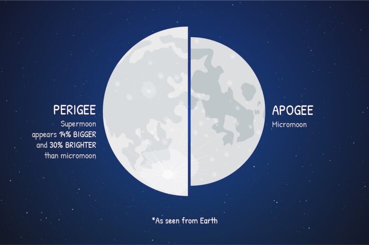 Perigee and apogee moons