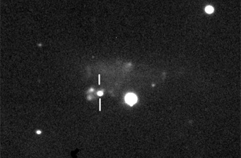 Supernova in NGC 3239?