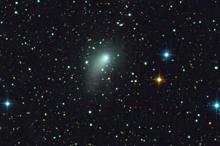 Comet PanSTARRS blooms