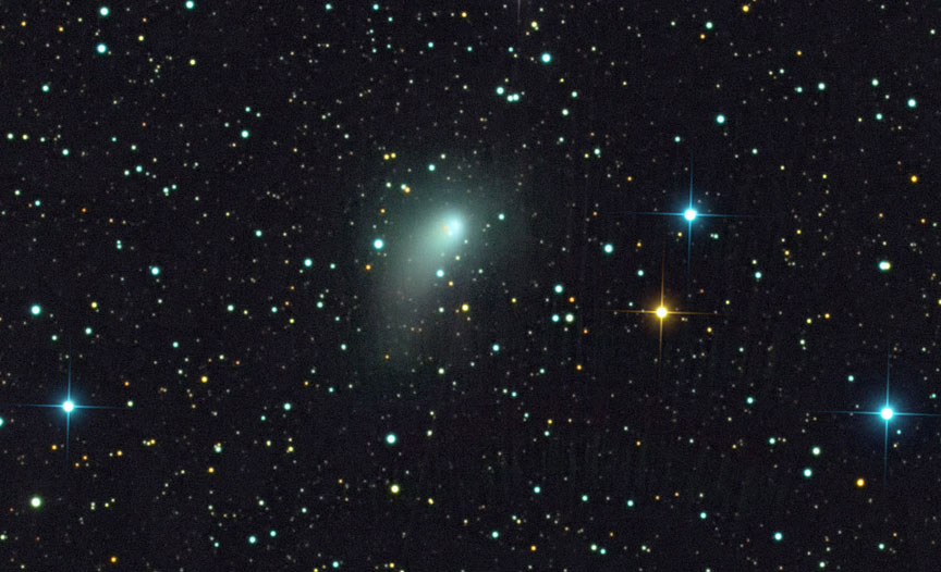 Comet PanSTARRS blooms
