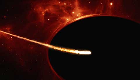 Spinning black hole tidal disruption event