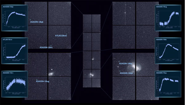 TESS first-light supernovae