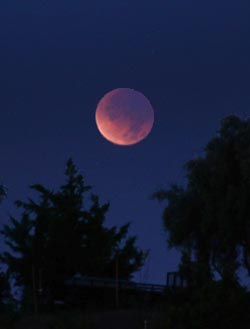 From Simi Valley, California, December 2011's totally eclipsed Moon hung just a few degrees above the western horizon. The southern half (lower left) of the disk, nearest the umbra's outer edge,  is relatively bright. S&T: J. Kelly Beatty