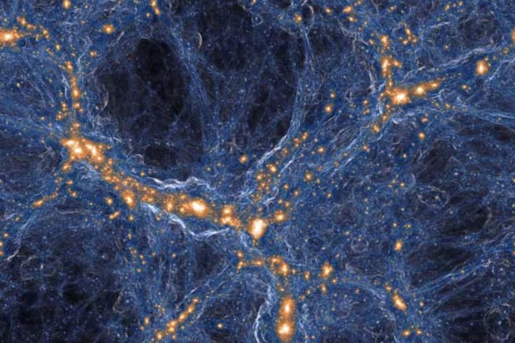 Dark matter vs. ordinary matter in IllustrisTNG