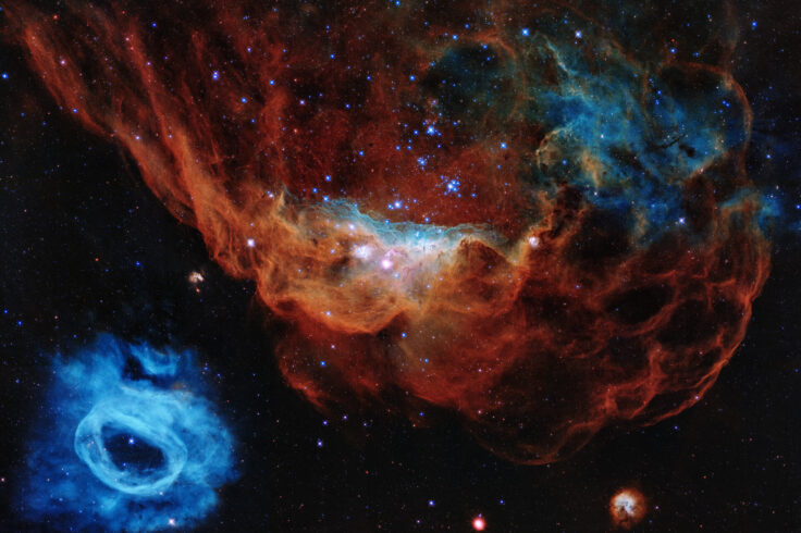 NGC 2014 and NGC 2020