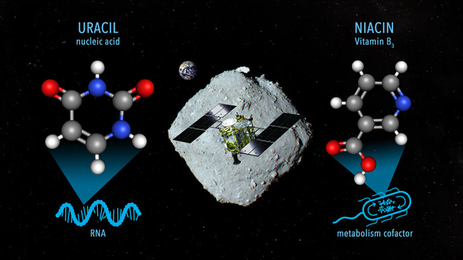 Infographic showing molecular structure of Uracil and Niacin