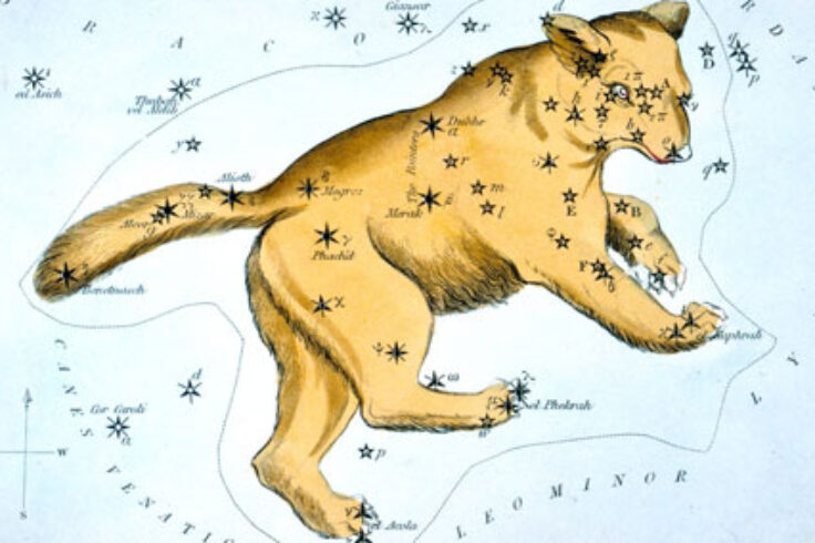 Ursa Major from Urania's Mirror