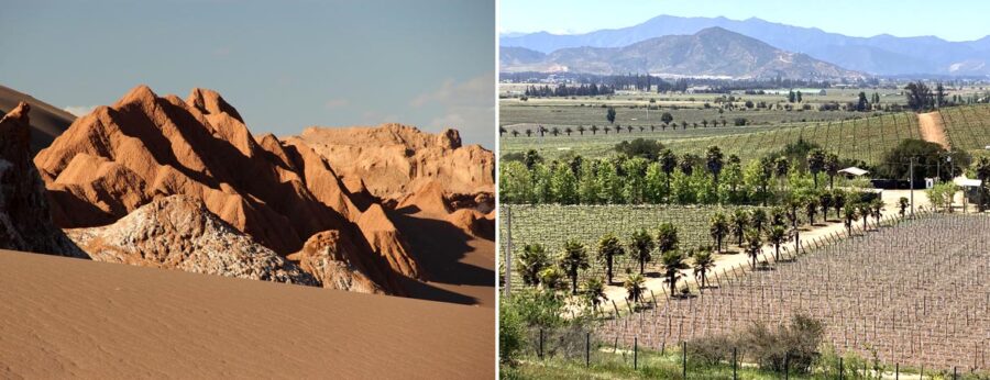 Valley of the Moon and Casablanca Winery