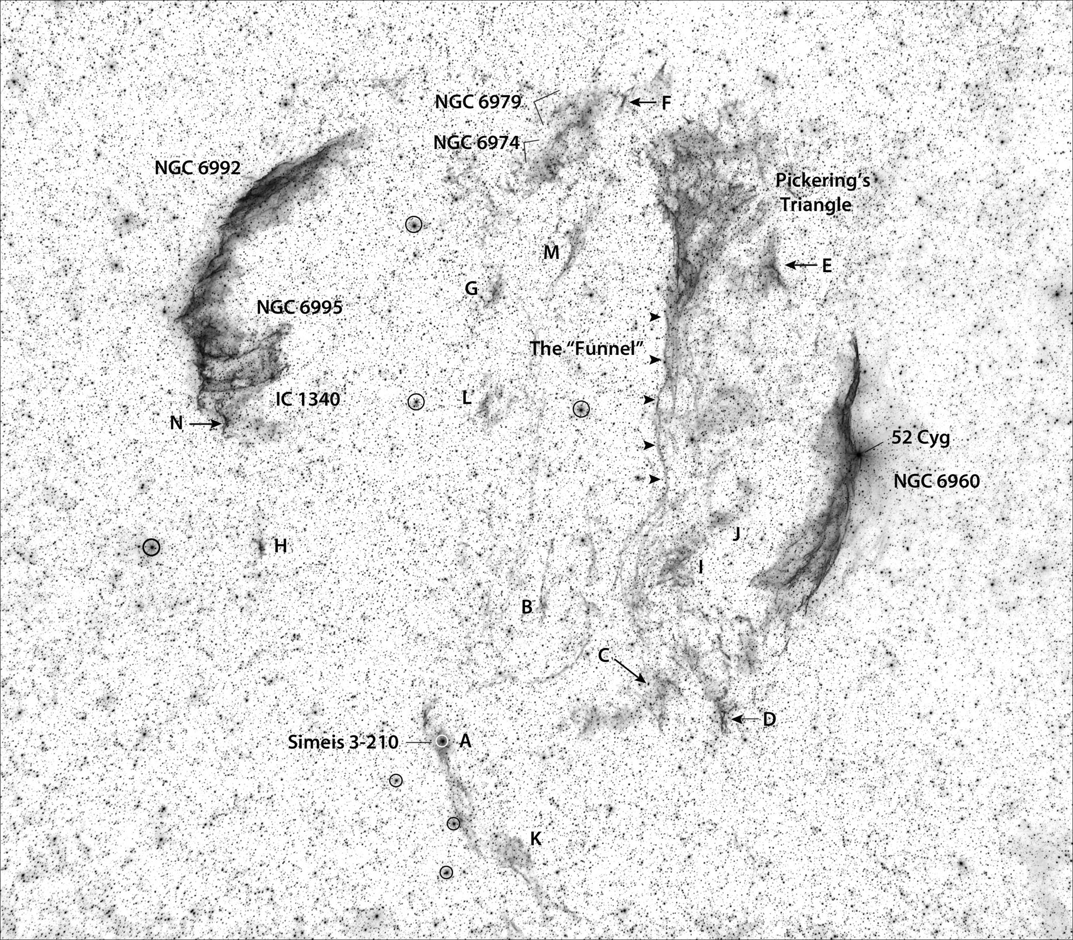 Veil-Nebula-Scott-Rosen-Invert-BW_labele