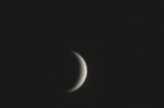 Venus sickle  