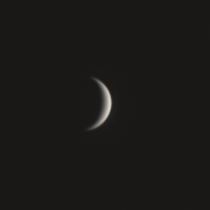 Venus sickle  