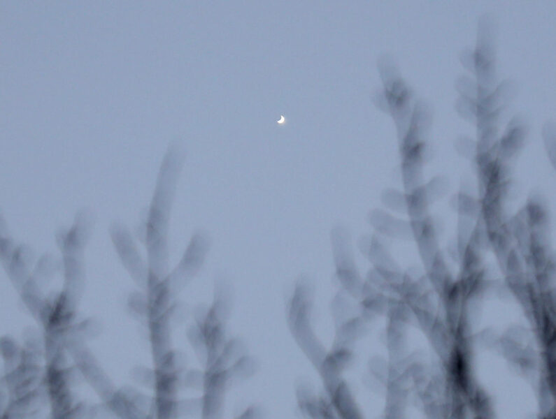 Venus crescent in telephoto lens