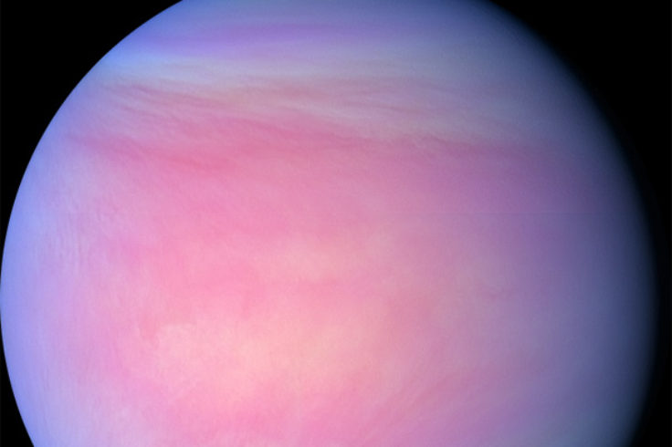 Venus in false-color