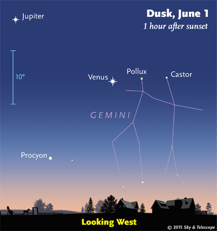 Venus (almost) lines up with Pollux and Castor on Monday and Tuesday evenings, June 1st and 2nd. The blue 10° scale is about the width of your fist at arm's length.