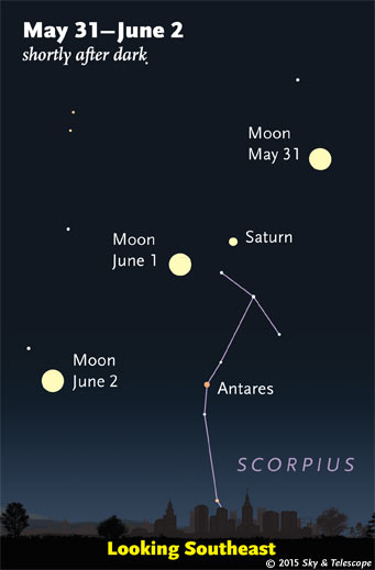 Watch the bright Moon pass Saturn and Scorpius from night to night. (These scenes are drawn for the middle of North America. European observers: move each Moon symbol a quarter of the way toward the one for the previous date.)