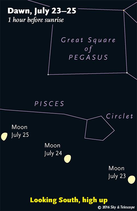 Moon and Great Square before dawn, July 23 - 25