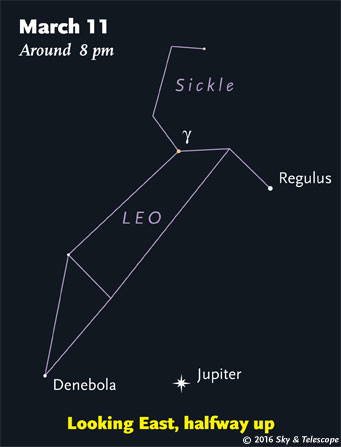 Jupiter under Leo, mid-March 2016