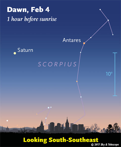 Saturn and Antares at dawn, early Feb. 2017