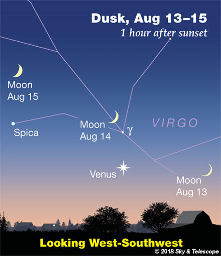 This Week’s Sky at a Glance, August 10 – 18 - Sky & Telescope - Sky ...