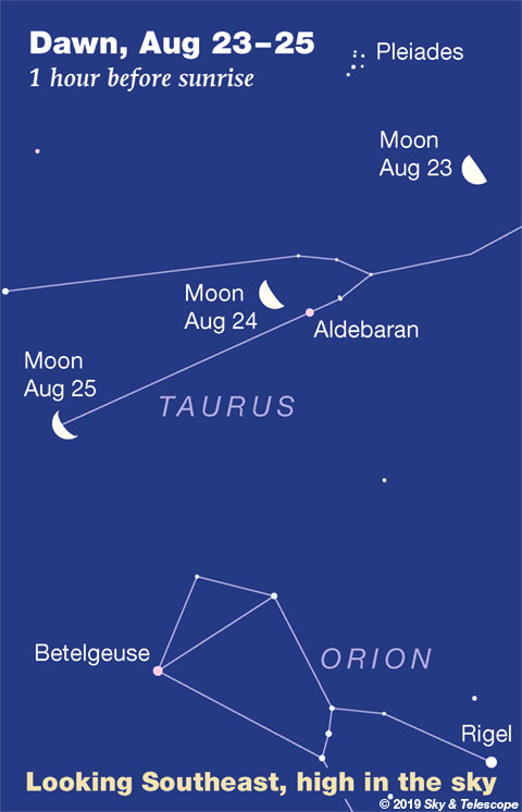 This Week S Sky At A Glance August 23 31 Sky Telescope Sky Telescope