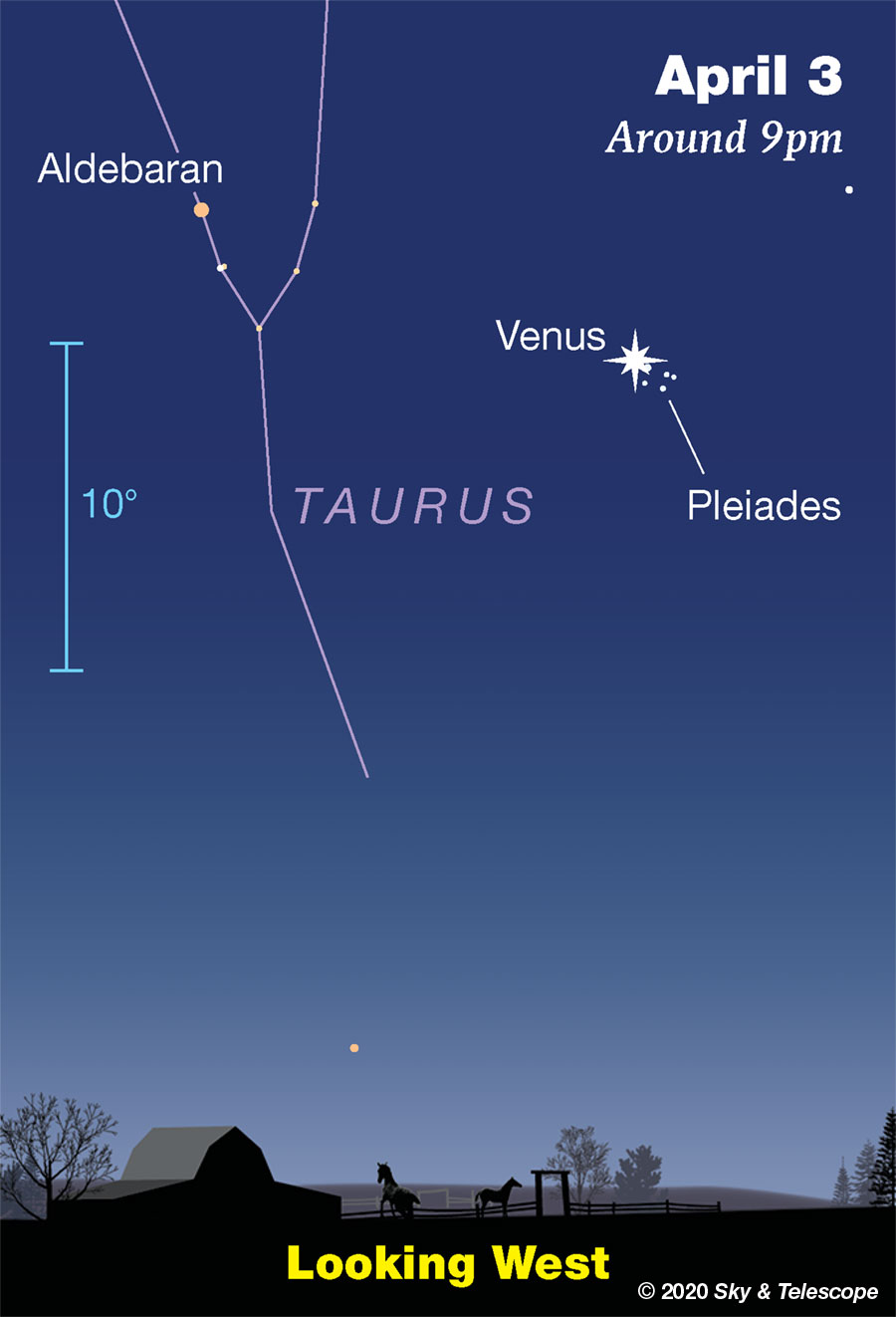 Pleiades is right next to Venus on the morning of April 3 looking west